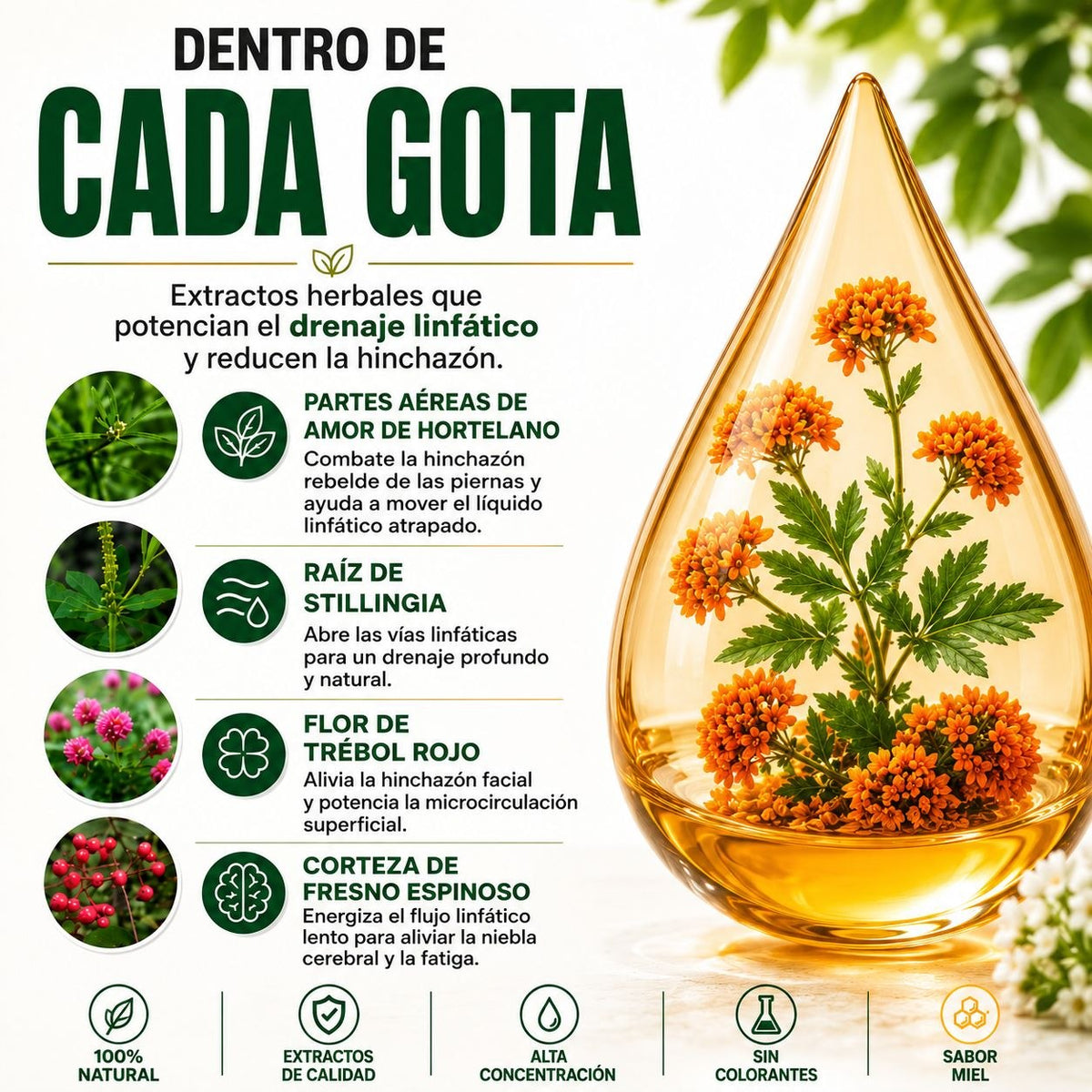 ¿Te sientes hinchada, pesada o con retención de líquidos?